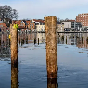 Neuer Heringszaun in Kappeln ist fertig