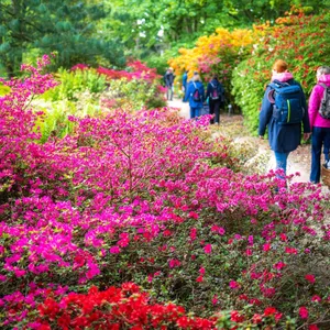 Wo die Landesgartenschauen 2032 und 2034 blühen werden