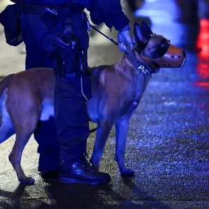 Diensthund beißt Mann – Polizistin vor Gericht