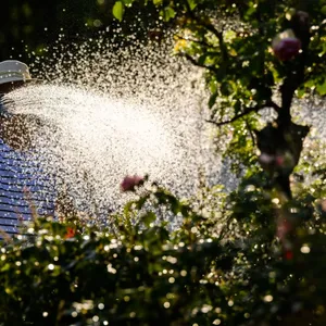 Wasserknappheit: Verband für mehr Einschränkungen