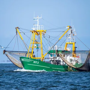 Fischfang verboten? Streit um Schutzgebiete in der Nordsee