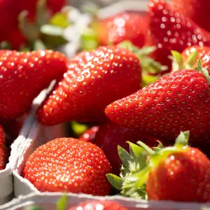 Geringe Erntemengen für Erdbeeren und Spargel