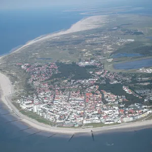 Schweinswal strandet vor Norderney