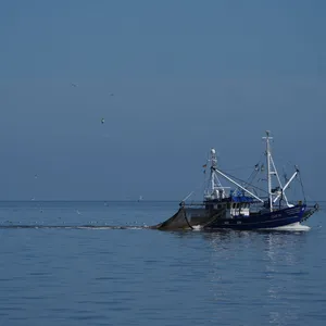 Niedersachsen plant fischereifreie Zonen in der Nordsee