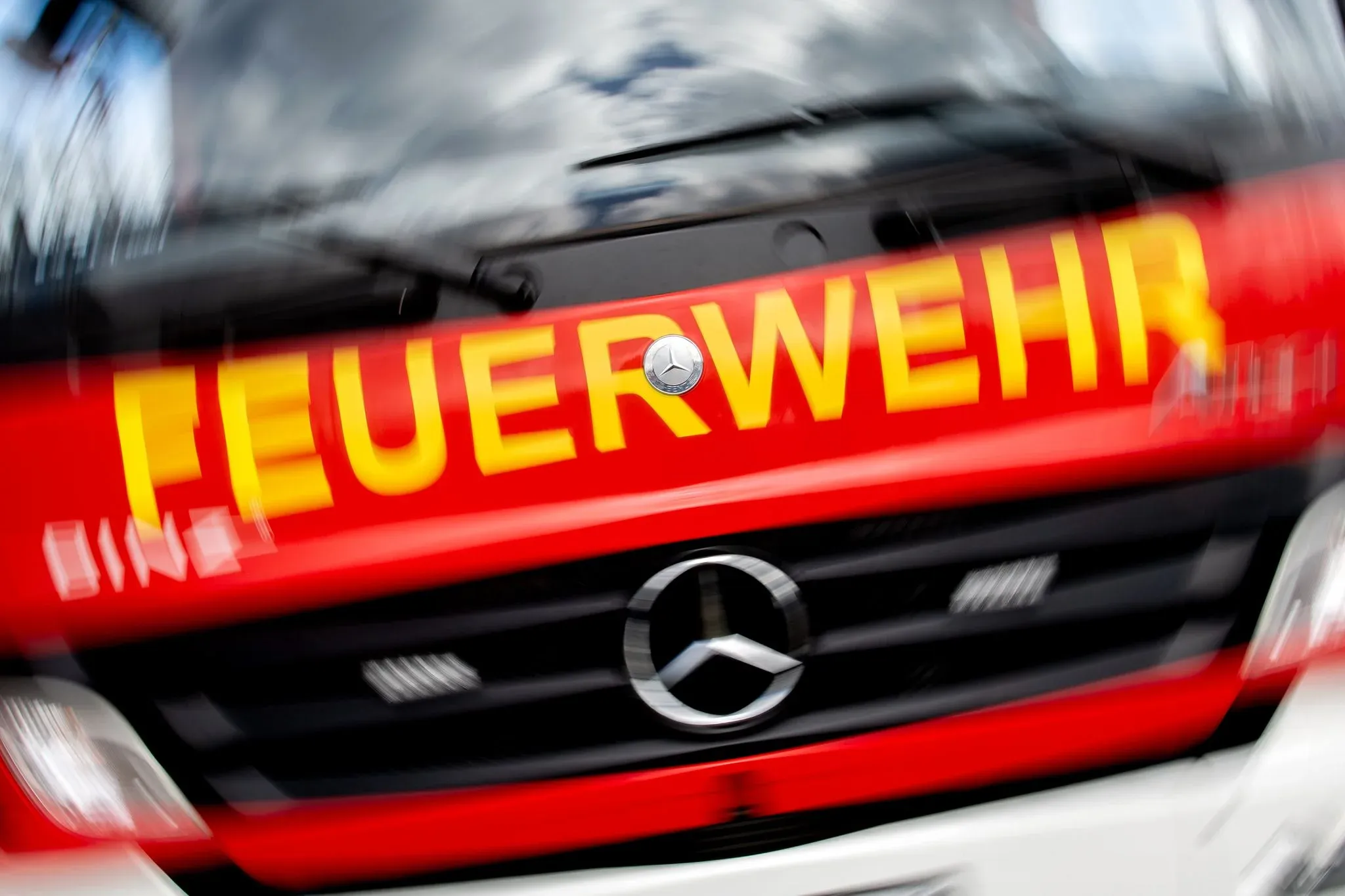 Bei einem Brand in einer Schweinemastanlage im Landkreis Gifhorn wurden keine Tiere verletzt. (Symbolbild)