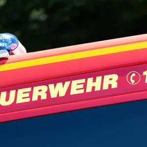 Dutzende Rinder sterben in brennendem Stall