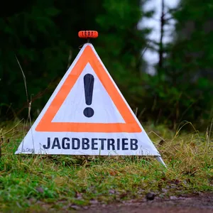 Anwohnerin im Garten von Kugel getroffen – Jäger verurteilt