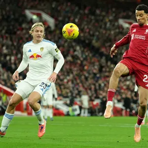 Bericht: HSV beschäftigt sich mit Ex-Wolfsburger für Abwehr