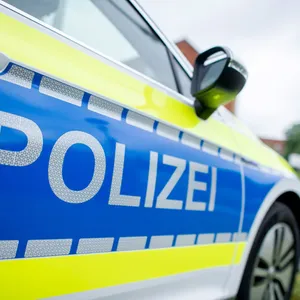 Kater mit Armbrust beschossen? Suche nach einem Täter