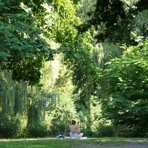 Sommerwetter im Norden – Temperaturen bis 31 Grad erwartet