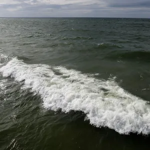 Wal vor Polens Ostseeküste gesichtet