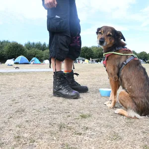 Punks bauen Protestcamp auf Sylt ab - und planen ein Revival