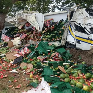 Mit Melonen beladener Lkw prallt gegen Baum
