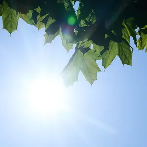 Daten bestätigen flächendeckenden Anstieg der UV-Strahlung