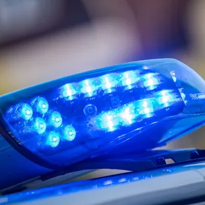 Oldtimer kracht gegen Baum – Fahrer stirbt am Unfallort
