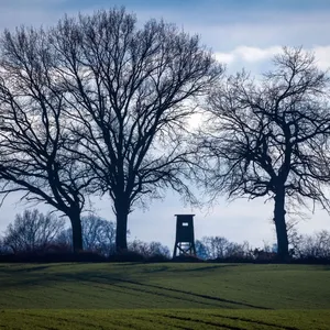 Von Ast erschlagen? Jäger tot auf Hochsitz gefunden
