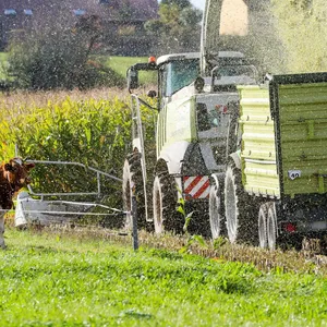 Maishäcksler in Schieflage: Aufwendige Bergung