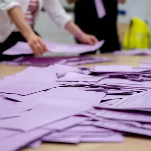 Experten: AfD wird in Kommunen deutlich handlungsfähiger