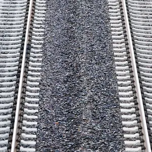 Pferde laufen auf Gleise - Bahnverkehr bei Lüneburg gesperrt