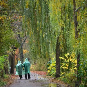Sturmböen und Regen: Wann wird es wieder ruhiger?