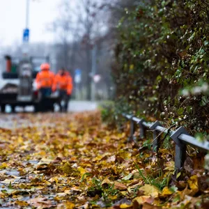 Herbstwetter im Anmarsch - So entwickelt sich die Woche