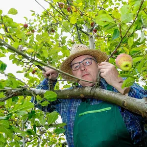 Der «100-Sorten-Baum»: Apfel-Vielfalt im Norden