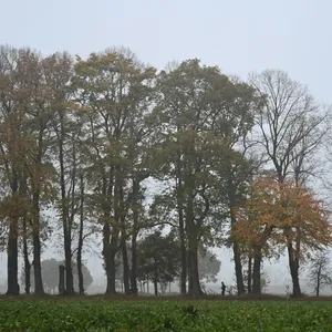 Wetterumschwung am Freitag? Regen und Böen drohen
