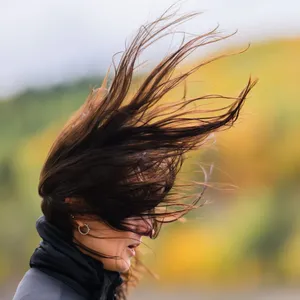 Hartnäckiger Wind und frostige Nächte im Anmarsch