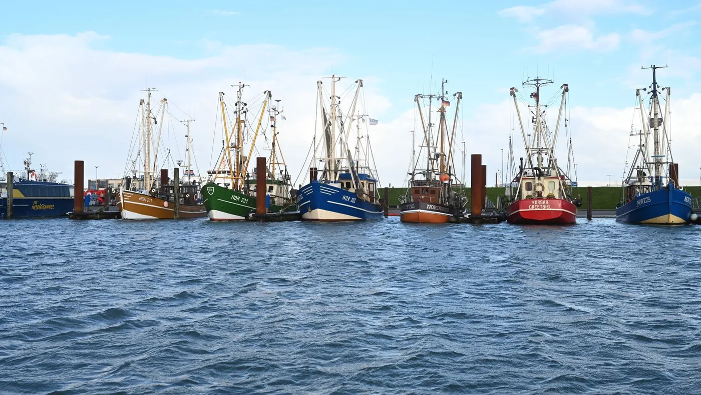 Fischereitag berät über Wandel und Zukunft der Branche