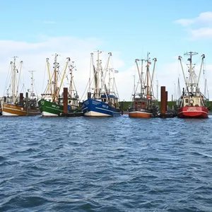 Fischereitag berät über Wandel und Zukunft der Branche