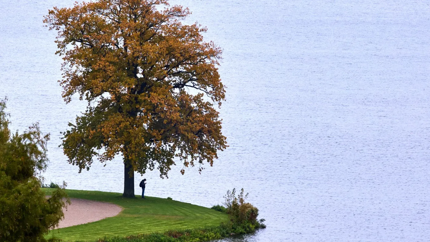 Mildes Herbstwetter im Norden mit Regen und Wolken