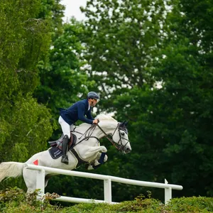 Reitsport: Neue 300-Millionen-Dollar-Serie in Hamburg
