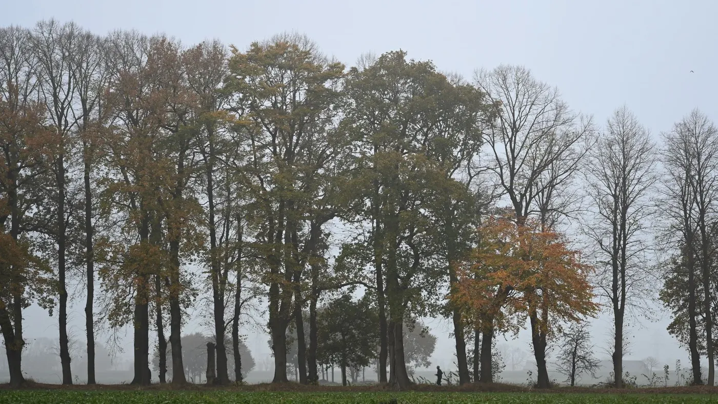 Nebel und Hochnebel ab Donnerstagabend