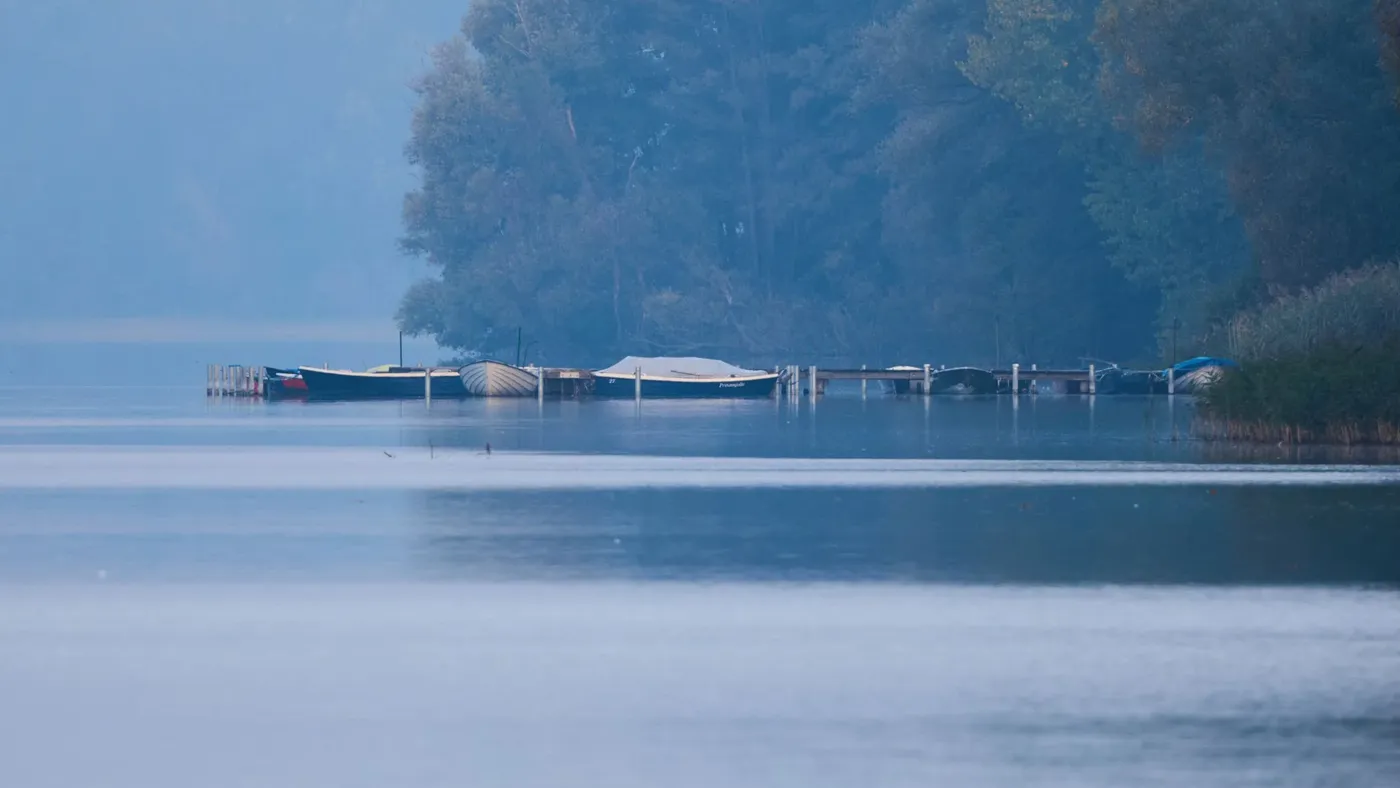 Viel Nebel zu Halloween im Norden – wann Regen aufzieht