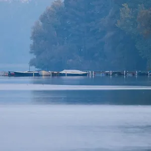 Viel Nebel zu Halloween im Norden – wann Regen aufzieht