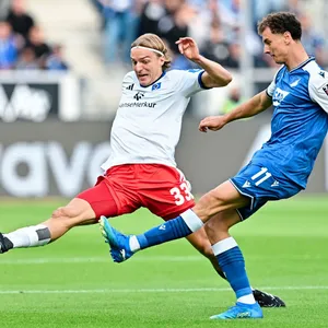 HSV hofft auf Bornauw-Comeback gegen Frankfurt