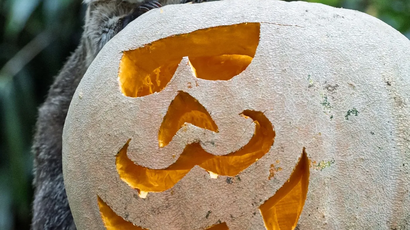 Schaurig-süßes Halloween im Tierpark Hagenbeck