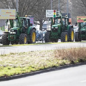 Schweinehalter unter Preisdruck - Protestaktionen möglich