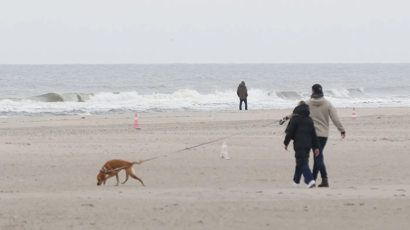 Wetterdienst: Oktober brachte Schleswig-Holstein viel Regen