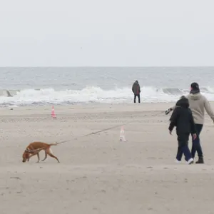 Wetterdienst: Oktober brachte Schleswig-Holstein viel Regen