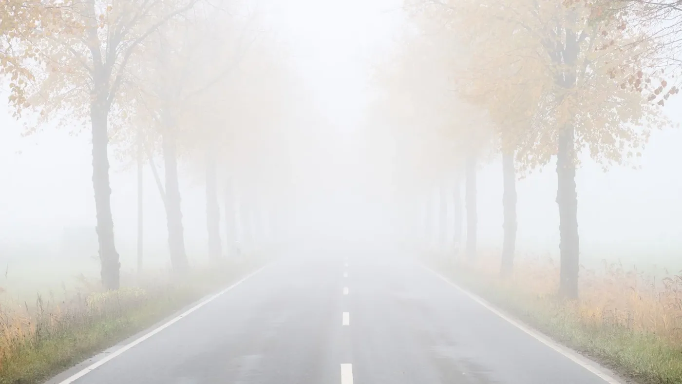 Nebliges Halloween-Wochenende in Niedersachsen und Bremen